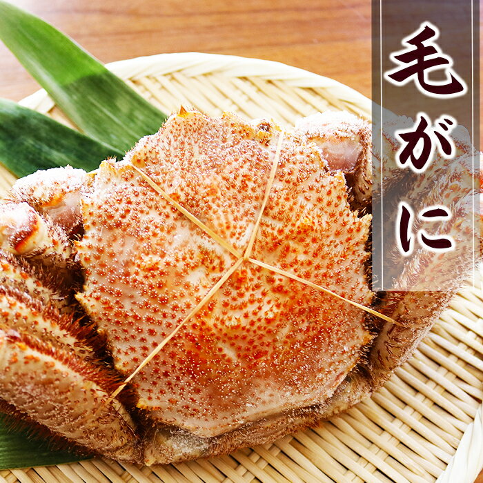 <年内配送可> 毛がに 選べる 570g 〜 850g 毛ガニ 蟹 海鮮 毛蟹 けがに ケガニ かに カニ お取り寄せ グルメ 北海道 根室市 ふるさと納税