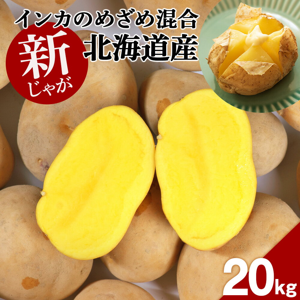 【 2025年 新じゃが 】インカのめざめ 混合 20kg いも 芋 じゃがいも ジャガイモ インカ 野菜 北海道 千歳【北海道千歳市】ギフト ふるさと納税