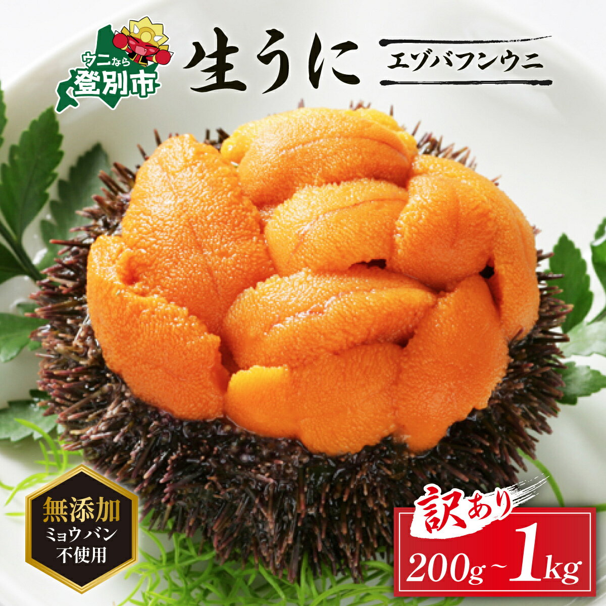 うに ミョウバン不使用 北海道 生うに 塩水パック エゾバフンウニ 雲丹 200g 〜 1kg 《アフター保証付き》 | ふるさと納税 うに 北海道 訳あり ウニ 無添加 規格外 登別 ふるさと ランキング 送料無料 ギフト