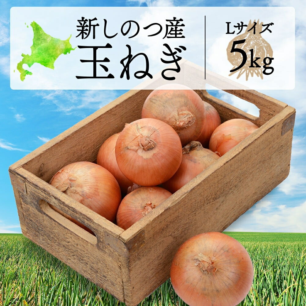 北海道 新しのつ産 玉ねぎ Lサイズ 約5kg オホーツク222 北もみじ2000 玉葱 たまねぎ タマネギ オニオン 旬 農作物 野菜 サラダ カレー 肉じゃが 長期保存 送料無料  お届け:8月下旬~1月下旬