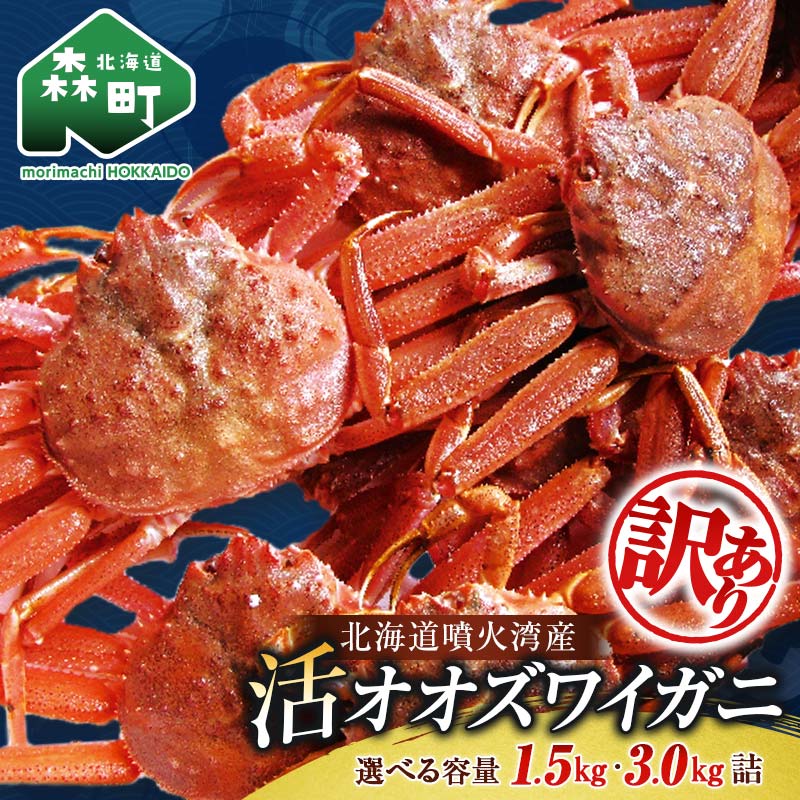 【選べる容量・配送月】【訳あり】北海道噴火湾産 活オオズワイガニ 1.5~3kg 10000円 12000円 <道産ネットミツハシ> 配送時期が選べる 生産者応援 かに カニ 蟹 ずわい蟹 北海道産 鍋 かにすき かにしゃぶ 海鮮 わけあり ご自宅用 mr1-0352