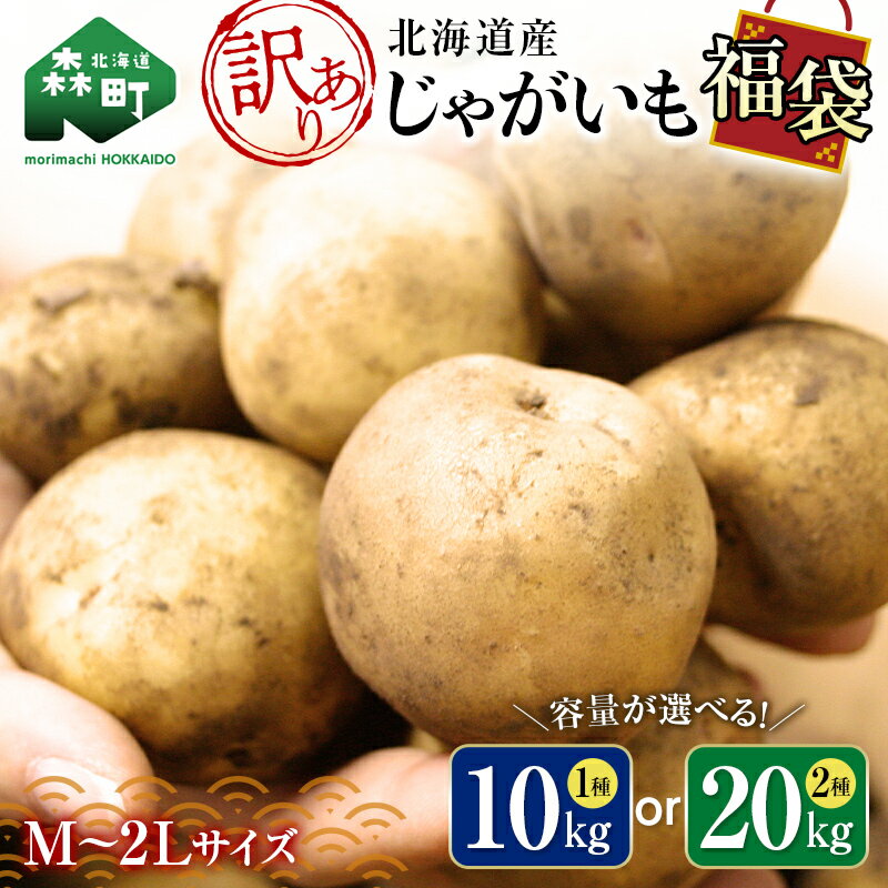 【先行予約】 <容量が選べる>【訳あり】北海道森町産 じゃがいも福袋 10kg or 20kg (2026年8月上旬~12月中旬まで順次お届け) 野菜 ジャガイモ きたあかり だんしゃく 男爵 とうや メークイン ポテト 北海道 7500円 mr1-0508