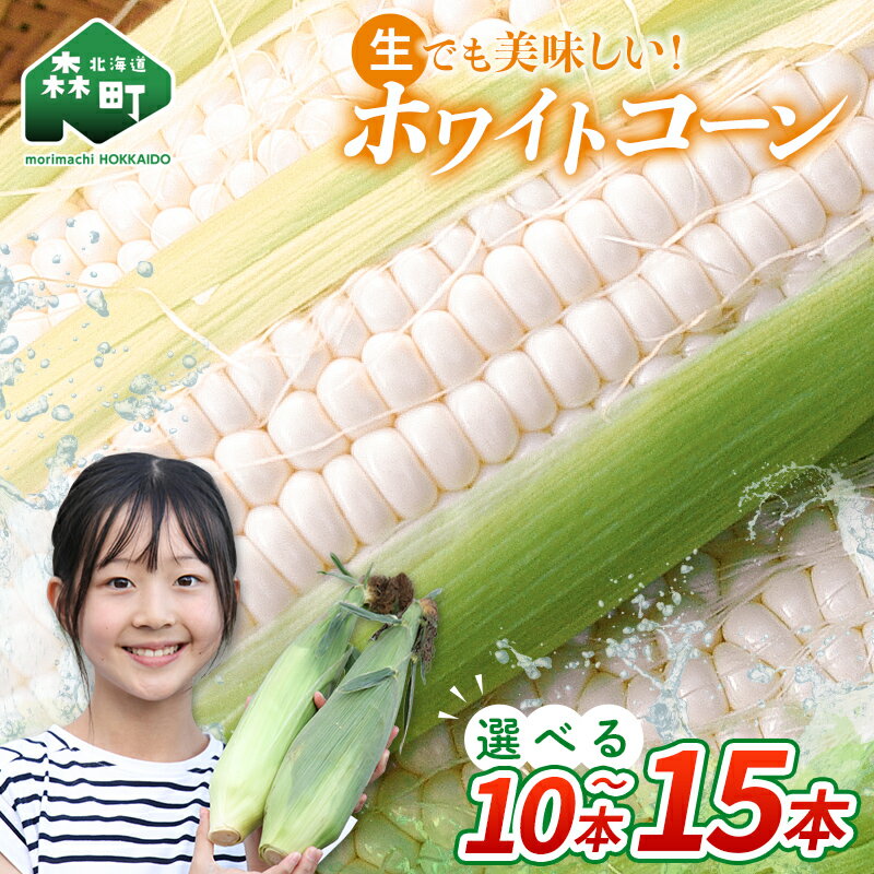 【先行予約】【選べる容量】 10本・15本 白い とうもろこし ホワイトコーン L~2L 北海道森町産(2026年7月下旬~9月中旬までに順次お届け) 北海道産 森町産 トウモロコシ とうきび トウキビ 唐黍 野菜 やさい たっぷり 甘い 朝もぎ 期間限定 mr1-0874