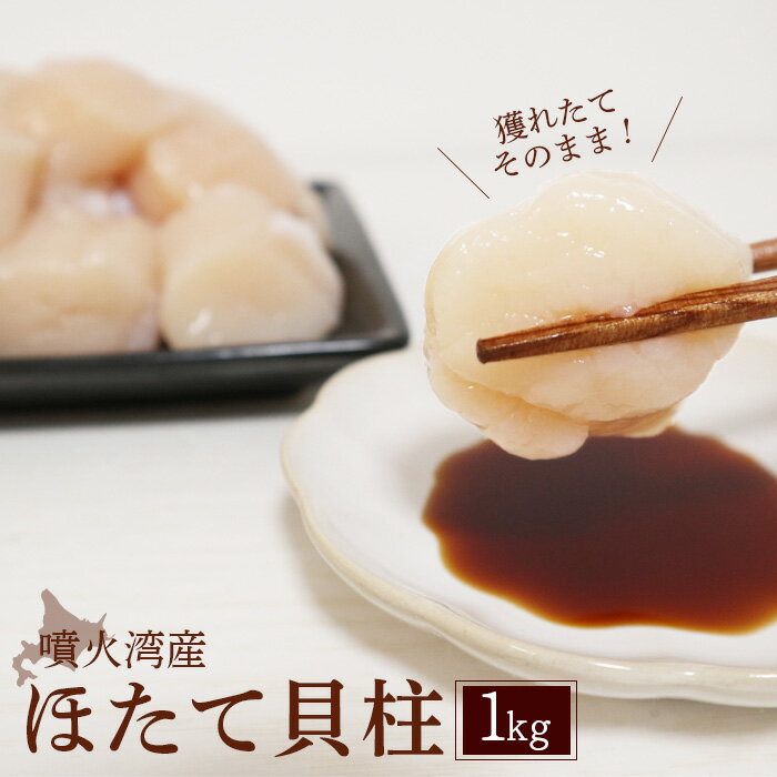 大粒ほたて貝柱 1kg |ホタテ ほたて 帆立 貝柱 ホタテ貝柱 帆立貝柱 冷凍 噴火湾 海鮮 魚介 魚貝 貝 刺身 バター焼き 玉冷 ふるさと納税 北海道 長万部町【06002505】