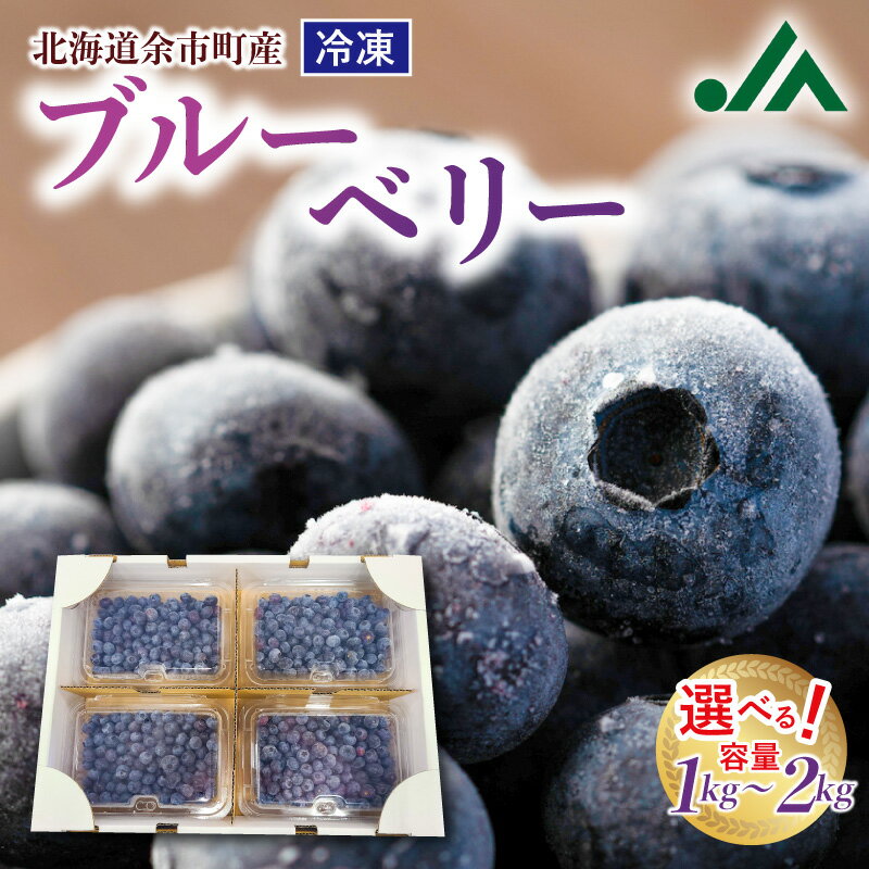 甘くてジューシー 余市産 冷凍ブルーベリー 1kg or 2kg 余市産ブルーベリー 小分けパック バラ詰め 不揃い JAよいち 送料無料 国産ブルーベリー アントシアニン 抗酸化作用 目に良い スーパーフード 急速冷凍 フルーツ 果物 送料無料 北海道 余市町