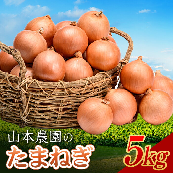 北海道産 「山本農園のたまねぎ」L〜L大サイズ前後 5kg 南幌町産 玉ねぎ タマネギ 玉葱 NP1-161