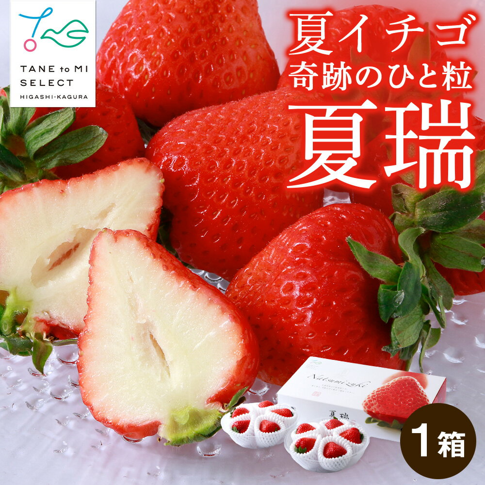 2026年発送☆【夏イチゴ】奇跡のひと粒「夏瑞」2パックセット 東神楽ふるさと納税 北海道ふるさと納税 イチゴ 東神楽産いちご 【E102】 果物 フルーツ 苺 国産 北海道産