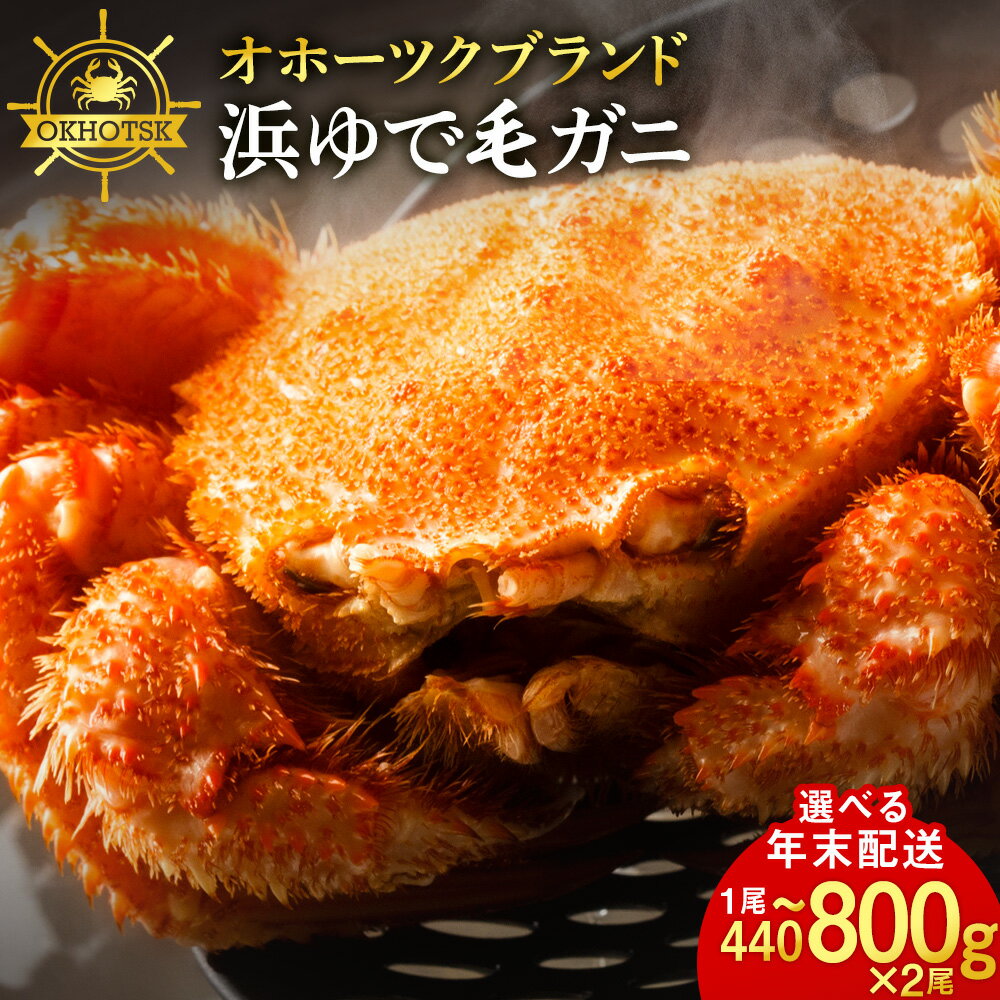 ☆12月発送*先行予約☆選べる発送時期【楽天限定】 ☆北海道産 毛ガニ 選べる約440g~800g 2尾セット 計880g~1.6kg かに カニ 蟹 毛蟹 冷凍 北海道産 浜頓別町北海道ふるさと納税 ふるさと納税 北海道 浜頓別 通販 贈答品 贈り物