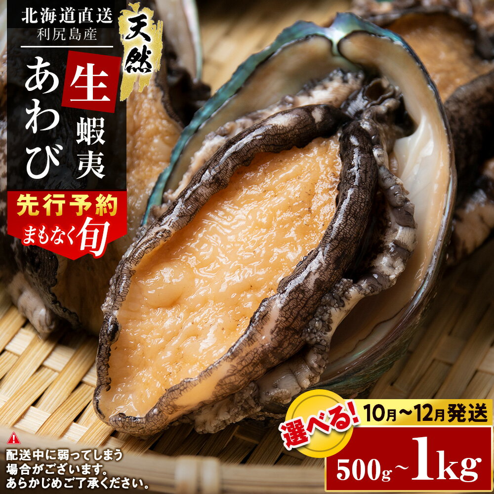 ☆選べる発送月☆あわび 北海道 利尻島産 直送!天然 生えぞあわび 選べる500g~1kg 鮑 海鮮 冷蔵 お刺身 魚介 お祝い【福士水産】北海道ふるさと納税 利尻富士町 ふるさと納税 北海道産アワビ 産地直送 美味しさに 訳あり 蝦夷あわび