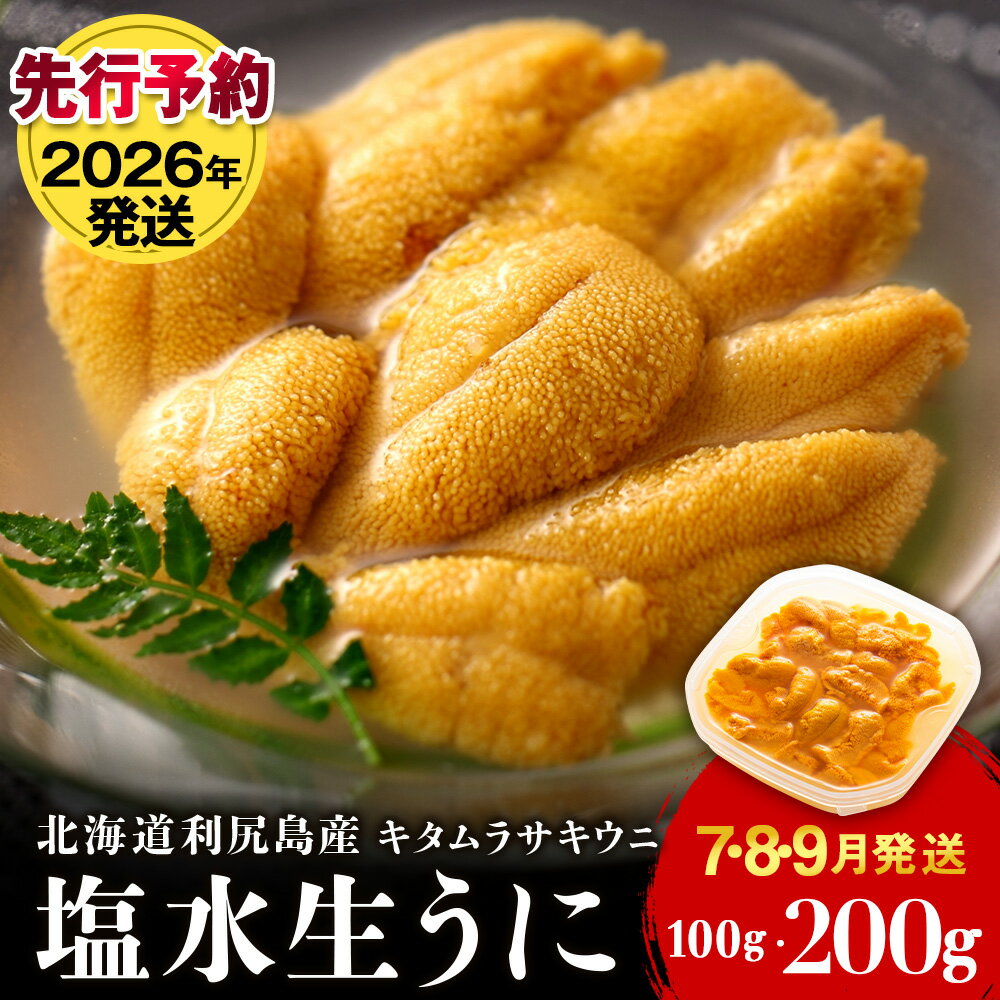 【2026年発送予約】 ★直送 「利尻島産 塩水キタムラサキウニ」選べる100g〜200g 1パック100g《利尻漁業協同組合》北海道ふるさと納税 利尻富士町 ふるさと納税 北海道 海鮮 生うに 北海道 うに 雲丹 通販 ギフト ウニ 贈答品 贈り物 塩水生うに