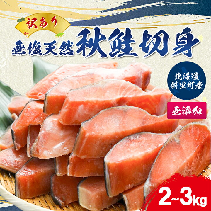 【訳あり】北海道斜里町産 無塩天然秋鮭切身 2kg/3kg【無添加】【配送不可地域:離島・沖縄県】【G1507541】