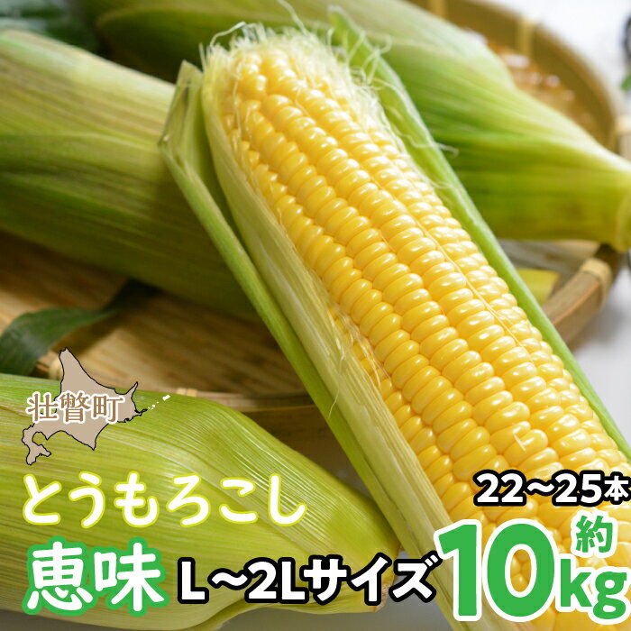 <2026年8月初旬よりお届け>約10kg!北海道壮瞥産とうもろこし(恵味)【L〜2Lサイズ 22〜25本】ふるさと納税 人気 おすすめ ランキング トウモロコシ とうもろこし 恵味 野菜 甘い 北海道 壮瞥町 送料無料 SBTP006
