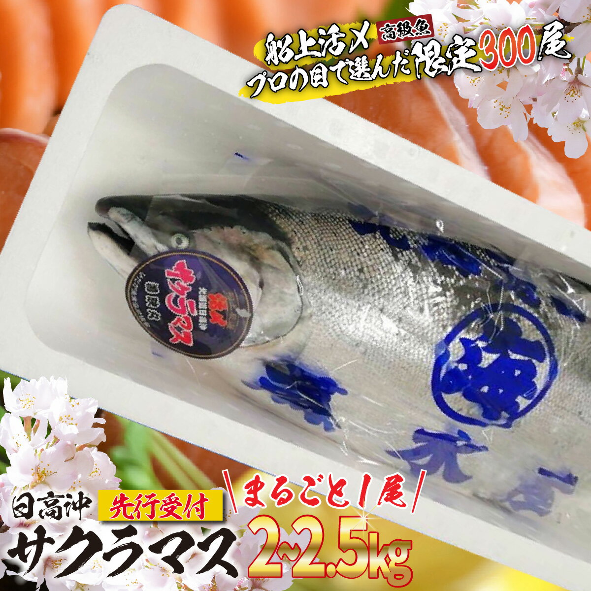 【ふるさと納税】 < 2026年5月から順次発送 > 北海道 天然 サクラマス 2〜2.5kg まるごと 1尾 ふるさと納税 サクラ鱒 マス 旬 新鮮 魚 魚介 海鮮 冷蔵 焼魚 ムニエル フライ 刺身 燻製 活き〆 ふるさと納税 北海道 新ひだか町 < 予約商品 >