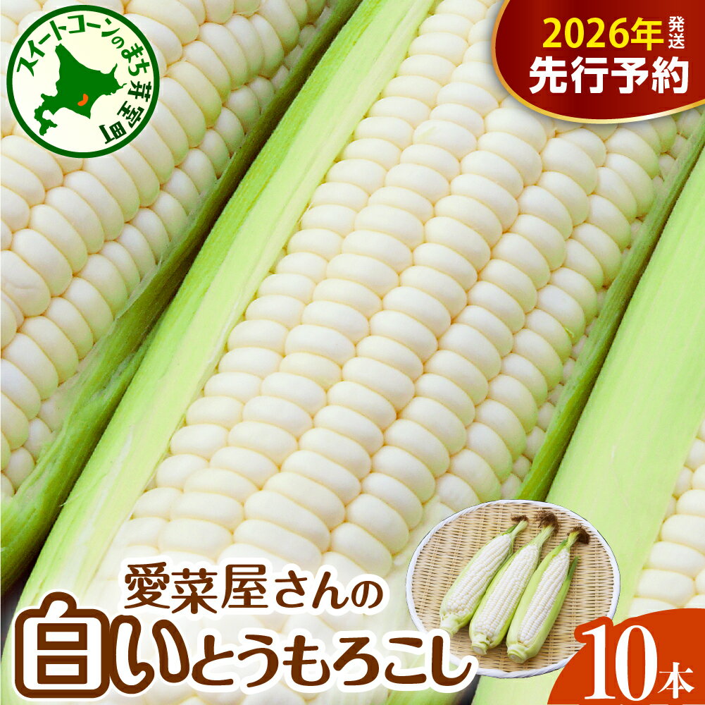 【先行予約】 2026年産 とうもろこし 北海道産 スイートコーン 10本 ホワイト種 【7月下旬~8月中旬にかけて順次発送】 人気 キャンプ飯 BBQ とうきび コーン 甘い 野菜 白 送料無料 お取り寄せ 贈り物 ギフト 贈答 期間限定 北海道 十勝 芽室町