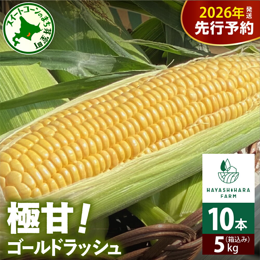 【先行予約】 2026年産 極甘 とうもろこし ゴールドラッシュ 10本 ( 5kg )【7月下旬~8月下旬にかけて順次発送】 北海道産 期間限定 とうきび コーン フレッシュ 甘い 産地直送 特産 特産品 北海道産 道産 お取り寄せ 冷蔵 送料無料 国産 北海道 十勝 芽室町