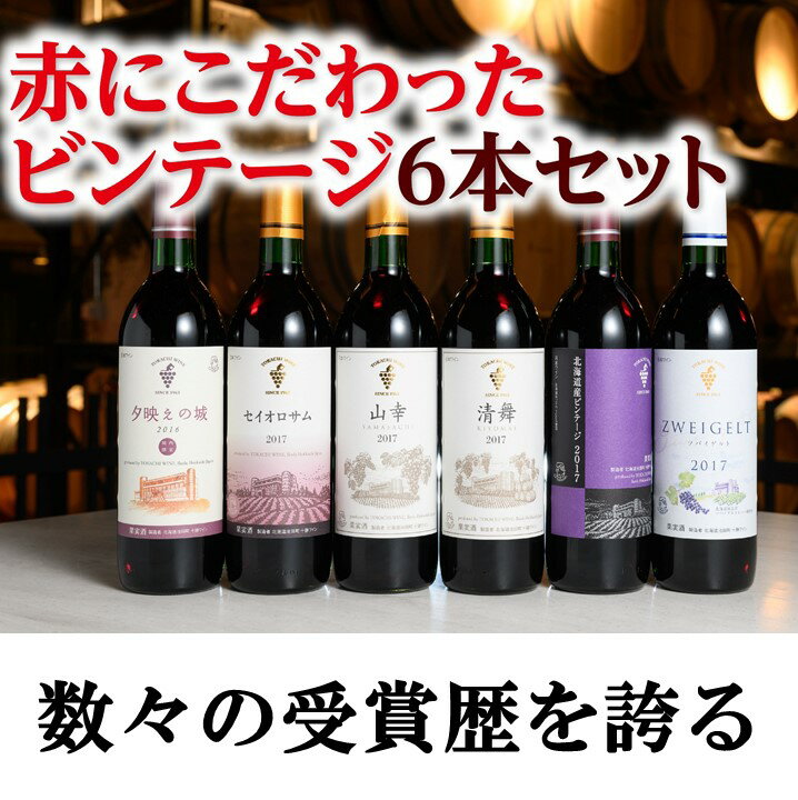 北海道 十勝ワイン 赤にこだわったビンテージ6本セット 北海道ワイン 国産ワイン ヴィンテージ ビンテージ 厳選 人気 受賞 山幸 おすすめ 高品質 セレクション 送料無料 ふるさと納税