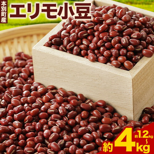 令和7年産 北海道十勝 本別町産 エリモ小豆 4kg 本別町農業協同組合《10月中旬-11月中旬頃出荷》北海道 本別町 豆 小豆 あずき 小豆茶 あずき茶 送料無料