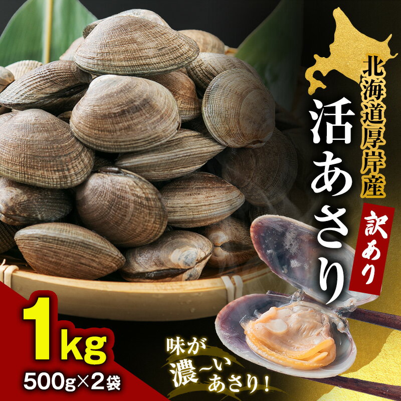 北海道 厚岸産 訳あり 活あさり 500g×2 (合計1kg) アサリ 魚貝 海鮮 大粒 美味しい 栄養 旨み 砂出し 水洗い 冷蔵 冷凍保存可能 便利  お届け:2025年9月~2026年7月15日まで