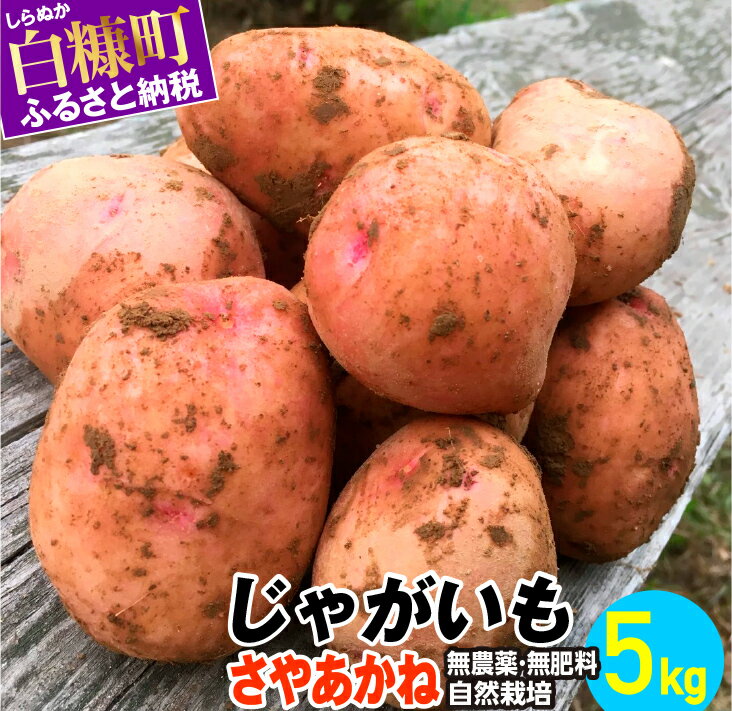じゃがいも(さやあかね)無農薬・無肥料・自然栽培・北海道産【5kg】 ふるさと納税 北海道