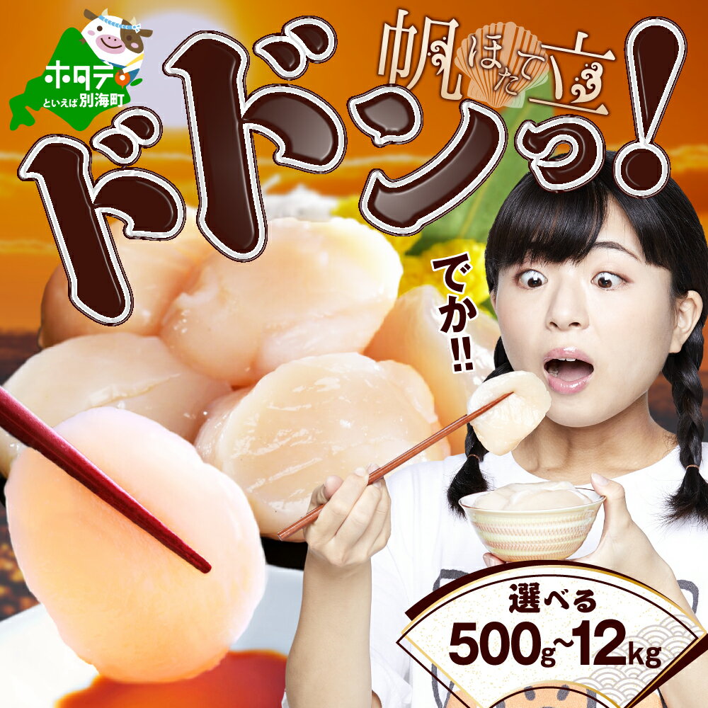 高評価★4.89 ジャンボ ホタテ 500g 1kg 北海道 野付産 冷凍ホタテ 貝柱 ( ふるさと納税 ほたて ふるさと納税 帆立 ふるさと納税 定期便 定期 訳あり ほたて貝柱 貝柱 北海道 海鮮 刺身 特大 生食 春 旬 北海道別海町 発送時期が選べる )