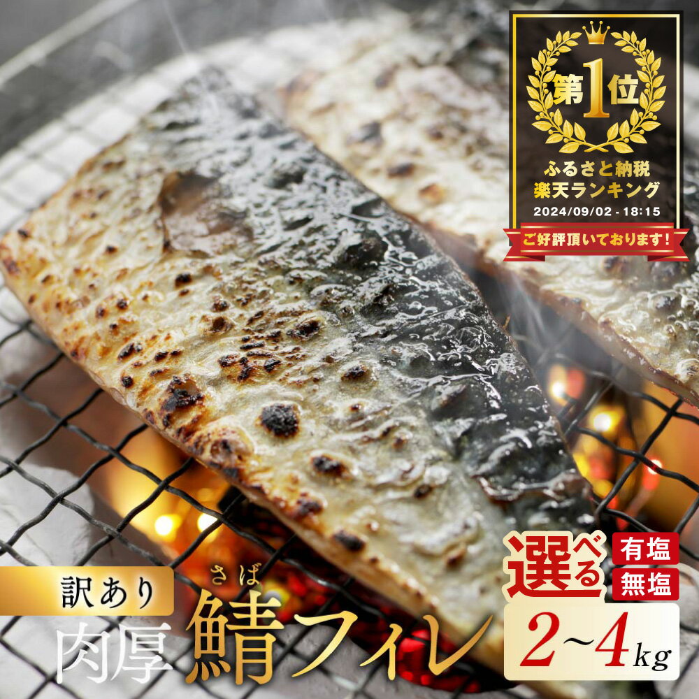 【ふるさと納税】総合1位 塩/無塩 サバ フィレ 2~4kg 訳あり 【種類・内容量が選べる】( ふるさと納税 国産 鯖 ふるさと納税 サバ 塩サバ 無塩サバ 魚 切り身 訳あり 魚 ふるさと おかず 惣菜 大容量 魚介 ヒレ 北海道 別海町 )