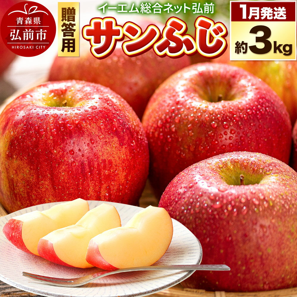 【26年1月発送】りんご 贈答用 サンふじ 約3kg 糖度 13度以上 EMりんご
