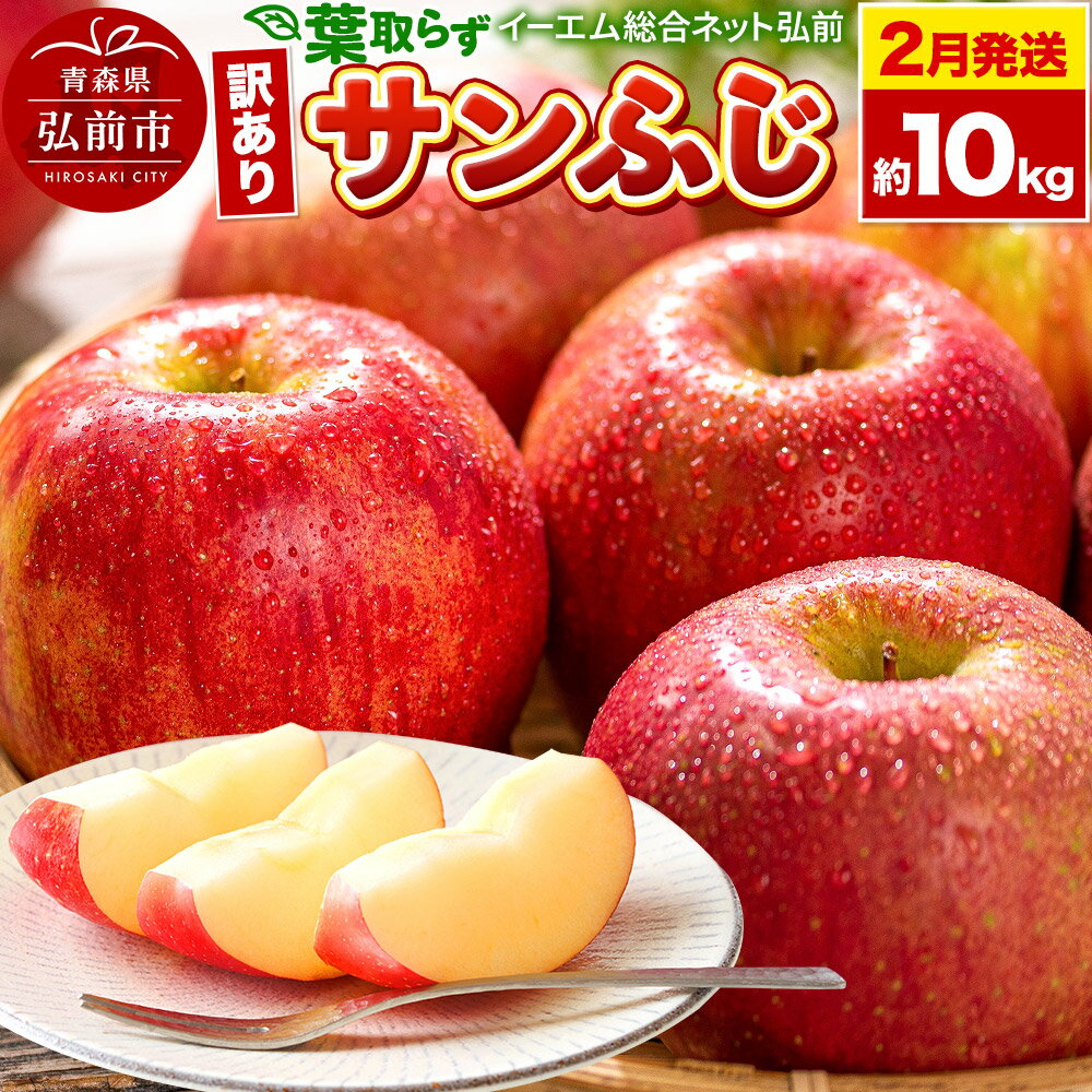 【レビューキャンペーン】【26年2月発送】りんご【訳あり】葉取らず サンふじ 約10kg 糖度 13度以上 EMりんご