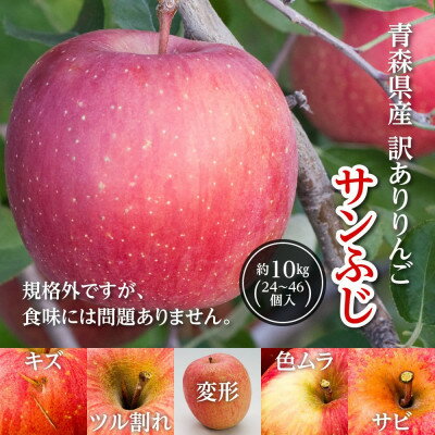 今年も約10kgお届けします! 訳ありりんご「サンふじ」24~46個入【R7年12月中旬~発送開始】_ りんご 林檎 訳あり フルーツ 果物 くだもの 傷 規格外 青森県 10kg 人気 おすすめ 送料無料 【配送不可地域:離島・沖縄県】【1333055】