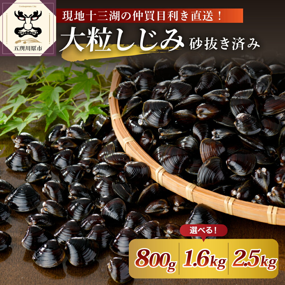 ★4.56 高評価★ 十三湖産 大粒しじみ 冷凍 砂抜き済 大和しじみ ( 800g 1.6kg 2.5kg : 内容量が選べる) / 魚介類 魚貝類 貝 国産 送料無料 シジミ ヤマトしじみ 日本三大しじみ 津軽 青森 五所川原 ヤマトシジミ あさり に負けない食べ応え