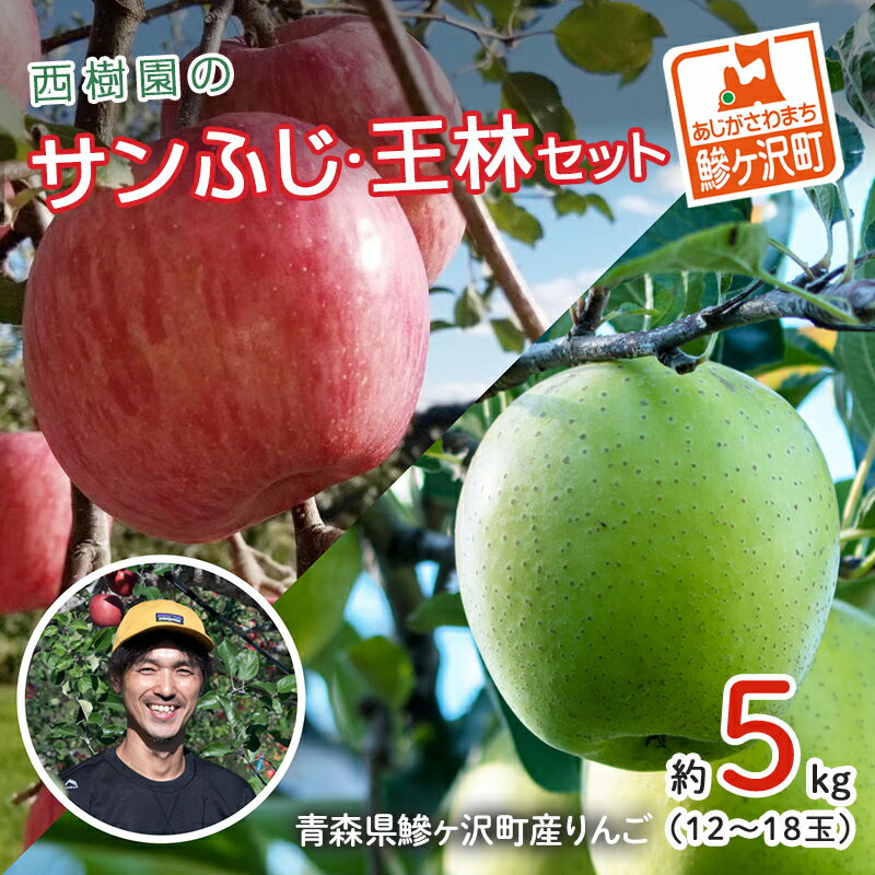 りんご 青森 サンふじ 王林 約 5kg (12~18玉) リンゴ 詰め合わせ セット 青森県 鰺ヶ沢町産 西樹園 フルーツ 果物 果物類 白神山地 林檎 サンフジ ふじ お届け:2025年11月15日~12月25日