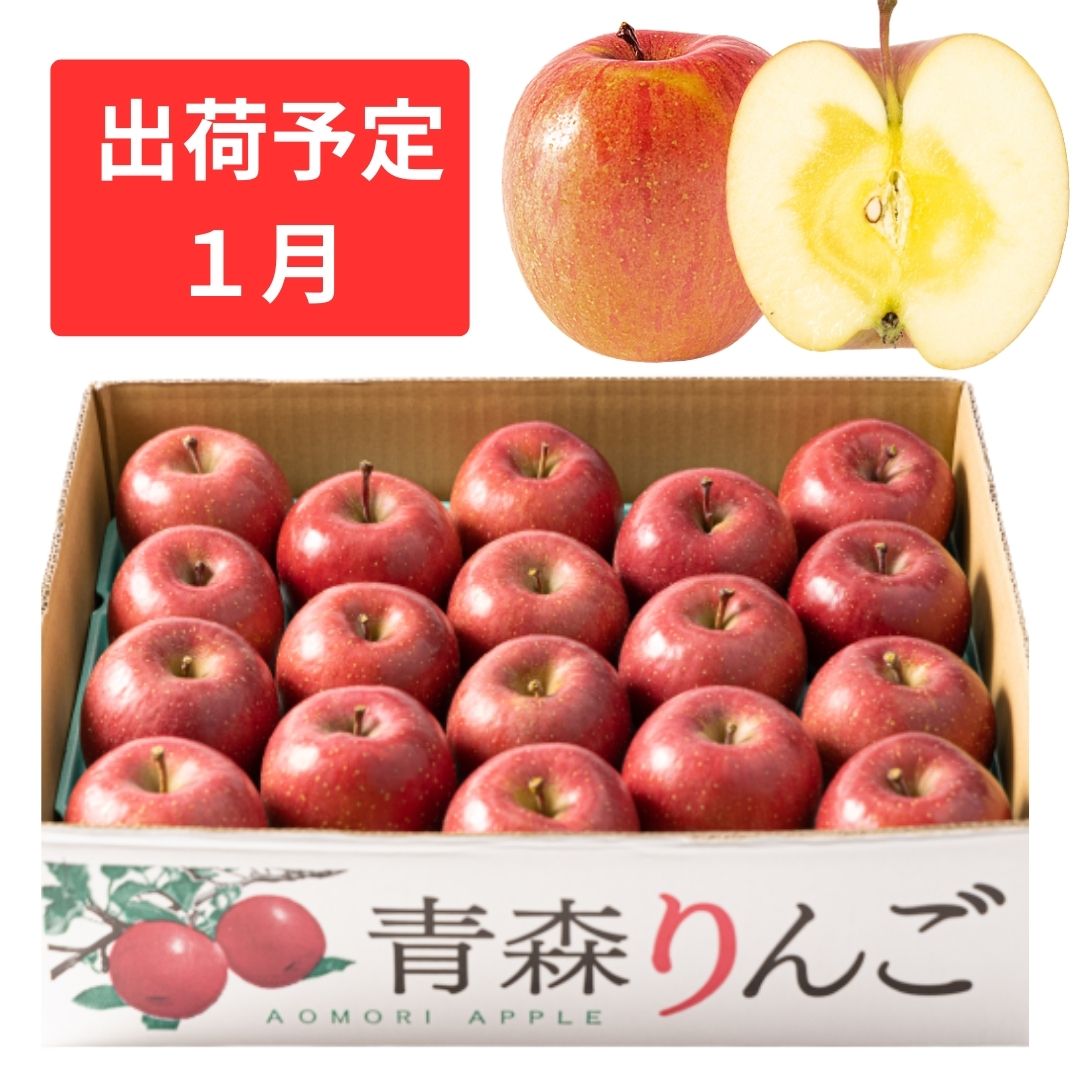1月 訳あり 家庭用蜜入りサンふじ 約5kg 【青森りんご・マルコウアップル】 果物類 林檎 リンゴ  お届け:2026年1月6日~2026年1月30日