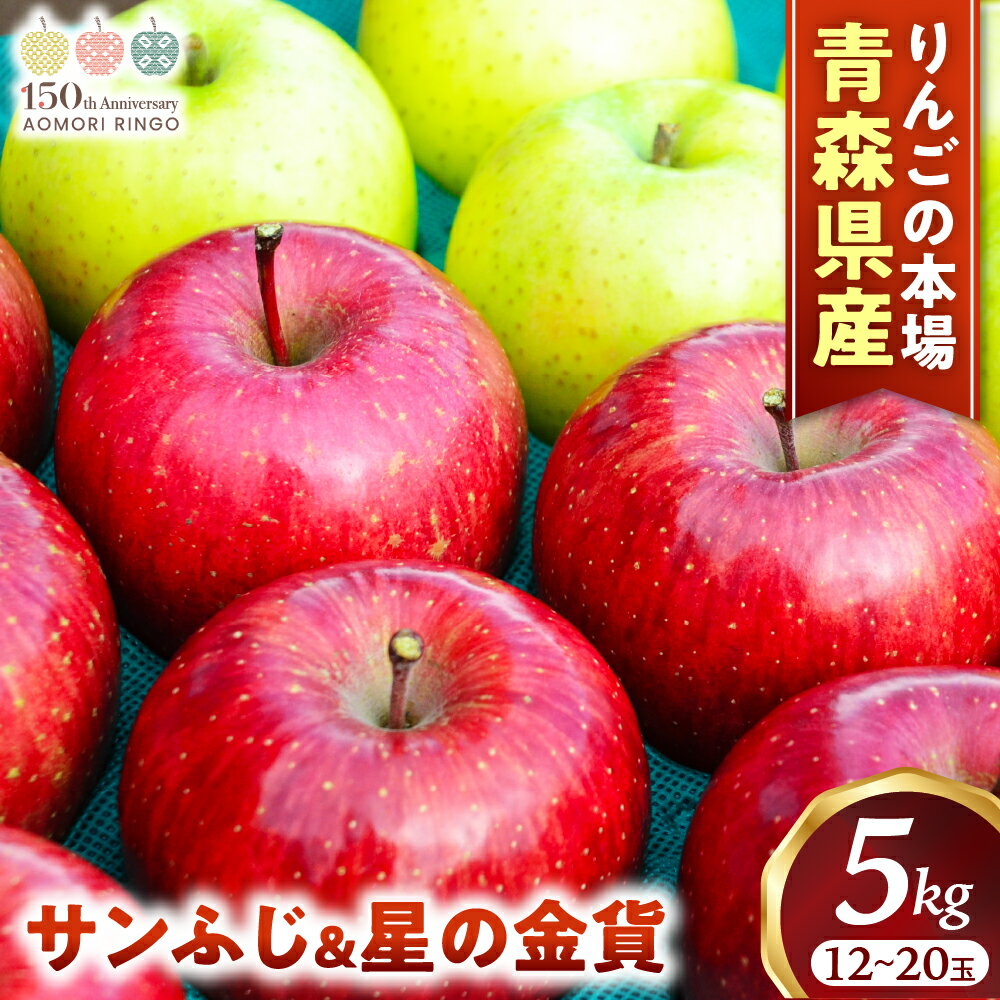 青森りんご【サンふじ&星の金貨】セット 約5kg(12〜20玉)【2025年産・先行予約】★2025年11月中旬〜12月中旬頃まで発送予定★りんご 林檎 リンゴ 果物 フルーツ 国産 贈答 土産 青森県 三戸町 H2832