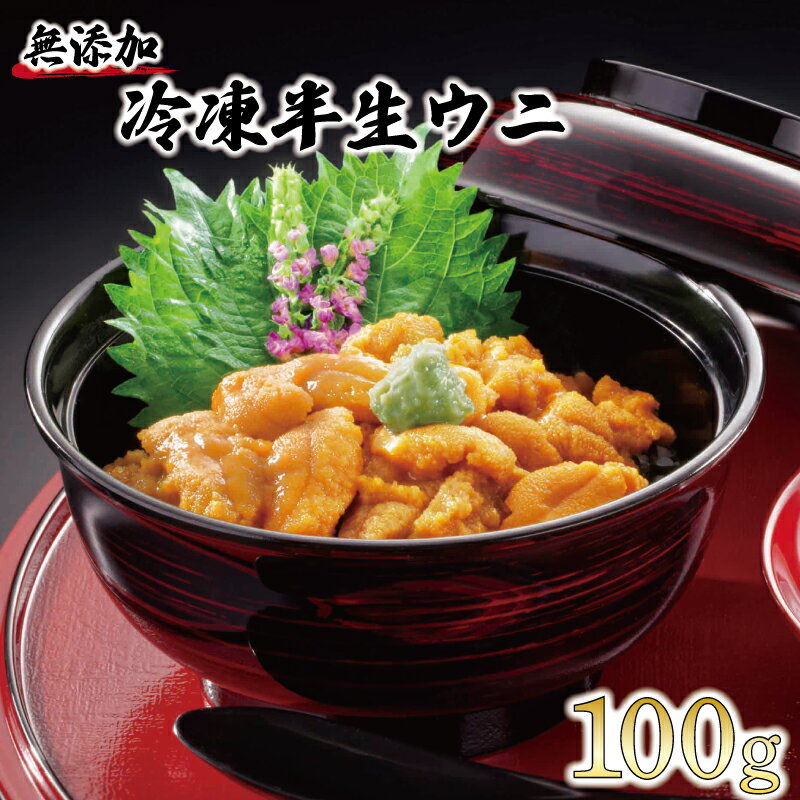 半生うに 100g 冷凍 うに キタムラサキウニ ミョウバン不使用 無添加 ウニ 雲丹 海鮮 三陸 岩手県 大船渡市