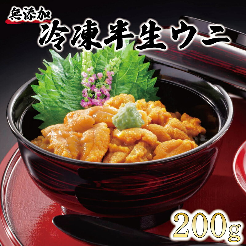 岩手県産 半生うに 200g 100g×2 冷凍 Sea urchin うに キタムラサキウニ ミョウバン不使用 無添加 雲丹 海鮮丼 寿司 ウニ丼 丼 ご飯 ごはん おかず 晩酌 おつまみ 魚介 刺身 小分け 岩手 三陸 大船渡市