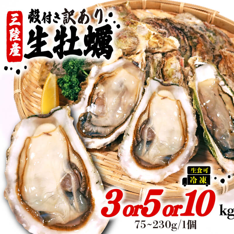 訳あり 牡蠣 3kg/5kg/10kg(生食可) かき カキ 冷凍 岩手県産 殻付き 生食 生食用 新鮮 濃厚 訳あり わけあり 大きさ不揃い 不揃い 三陸 三陸産 カンカン焼き アヒージョ BBQ バーベキュー 鍋 カキフライ キャンプ 貝 海 海のミルク 岩手県 大船渡市