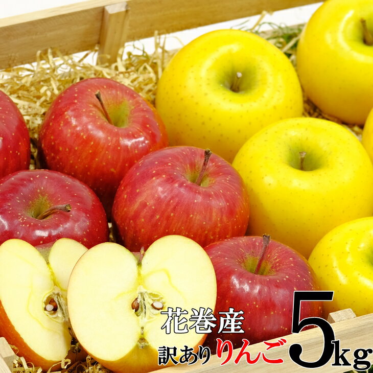 イーハトーヴ 訳あり ふるさと納税 りんご 家庭用 約5kg セット 岩手県 花巻産 ふじ シナノゴールド
