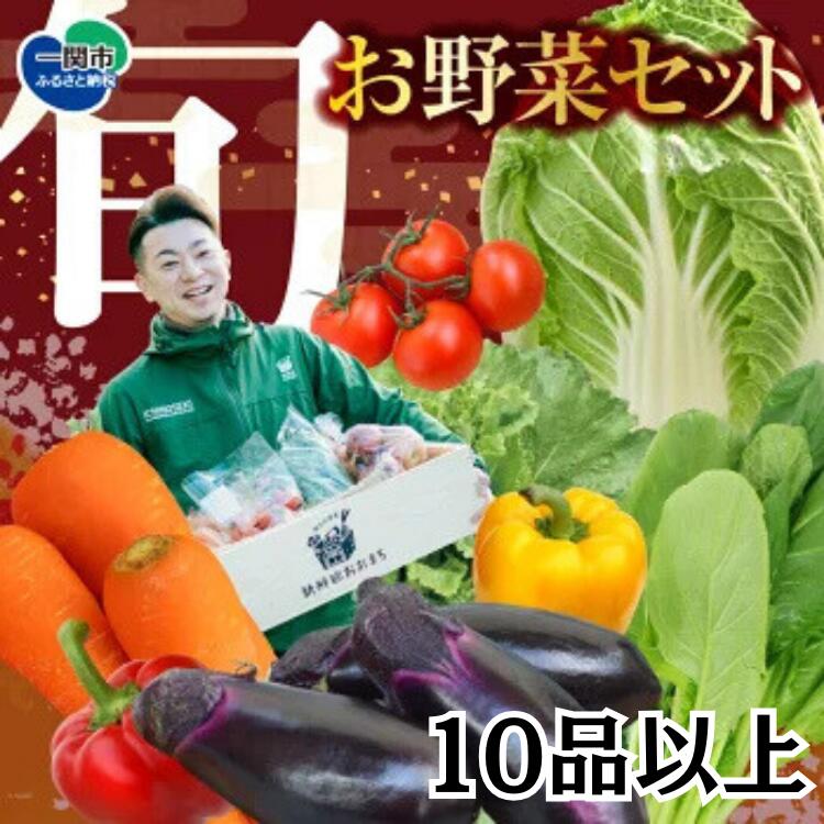 野菜 お楽しみ 野菜セット 旬 新鮮 詰め合わせ 10品以上 ふるさと納税 季節の野菜 新鮮野菜 詰め合わせセット 果物 フルーツ ギフト おまかせ 直送 農家 おまかせ お取り寄せ 産直直送 産直 送料無料 岩手県 一関市