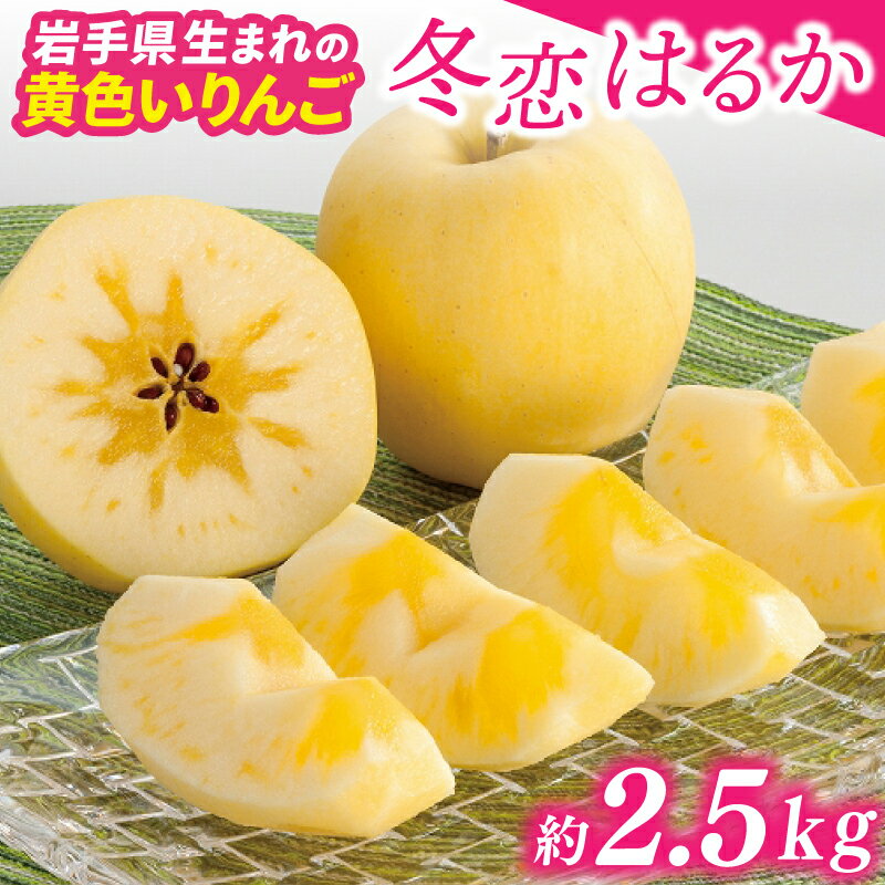 ★先行予約 数量限定★ りんご はるか 「冬恋はるか」糖度15度以上 蜜入り保証 高級フルーツ 約2.5kg 高級りんご 冬恋 りんご はるか 岩手 林檎 数量限定 リピータ多数【冬恋研究会】(AI022)