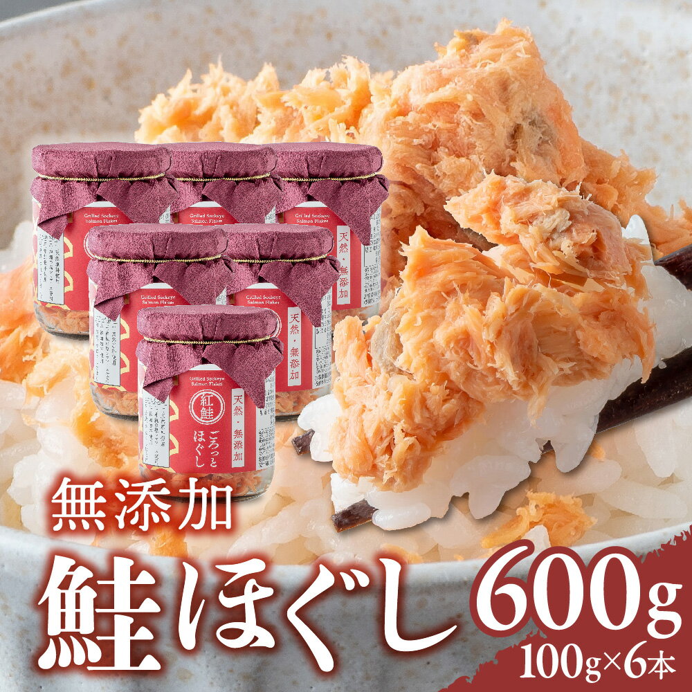 鮭フレーク 無添加 無着色 鮭ほぐし 長期保存 瓶 天然 紅鮭 あらほぐし 600g(100g6本) 3回 定期便 常温保存 ご飯のお供 鮭 サケ さけ 骨なし 骨取り 子ども おにぎり ふりかけ 備蓄 瓶詰め ギフト 金ケ崎町