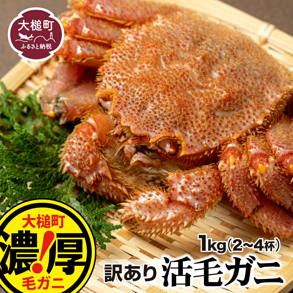 【令和8年発送】※訳あり※ 活毛ガニ 1~10kg 天然 毛蟹 冷蔵 発送 新鮮 活かに ≪ 2026年 2月〜4月発送≫ 期間限定 岩手県大槌町 三陸 いわて iwate