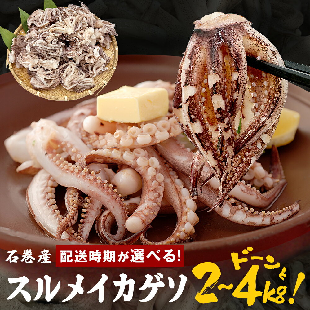訳あり 《内容量・配送時期が選べる》 スルメイカ ゲソ 2kg 4kg 宮城県産 冷凍 国産 いか 烏賊 イカ 下足 イカゲソ 唐揚げ いかげそ おつまみ 魚介類 焼イカ BBQ わけあり 不揃い 炒め物 ゲソ天 唐揚げ イカゲソ2kg イカゲソ4kg 宮城県 石巻市 宮城 石巻
