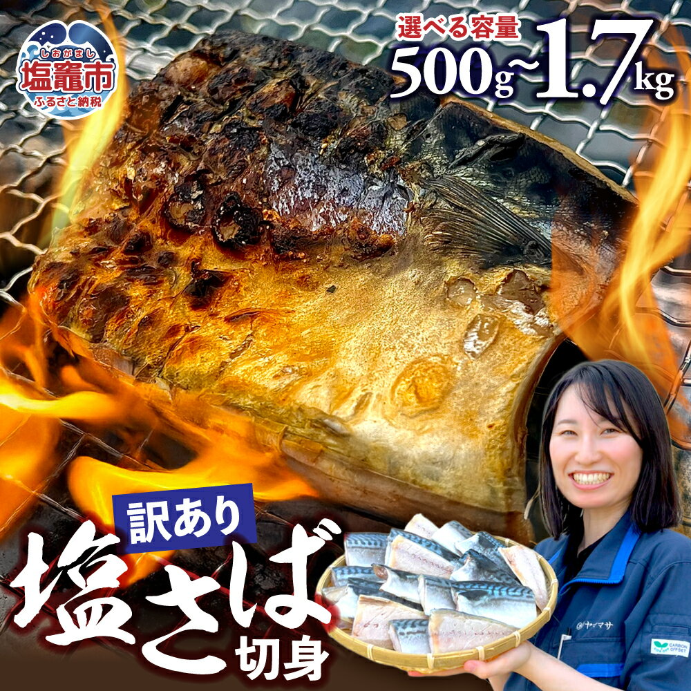 無添加 訳あり トロ 塩さば 1.7kg~500g 鯖 さば 冷凍 食品 小分け 大容量 人気 魚 魚介 魚貝 海鮮 弁当 惣菜 贈答 プレゼント ギフト お取り寄せ グルメ 送料無料 不揃い 規格外 ふるさと納税鯖 SDGs応援品 塩竈市 塩釜 ヤママサ