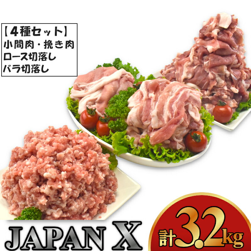 豚肉 小分け 切り落し JAPAN X 豚肉バラエティセット 3.2kg 切落し スライス ミンチ 送料無料 肉 グルメ 人気 冷凍 時短 国産 【04301-0366】 ふるさと納税宮城県 ふるさと納税蔵王町
