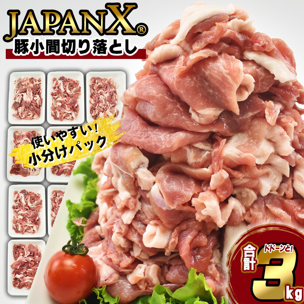 豚肉 小分け 豚こま 切り落し JAPAN X 豚小間切り落とし 3kg ぶたにく ブランド豚 切落し 薄切り 送料無料 肉 グルメ 人気 冷凍 真空 時短 国産 宮城県産【04301-0067】 ふるさと納税宮城県 ふるさと納税蔵王町