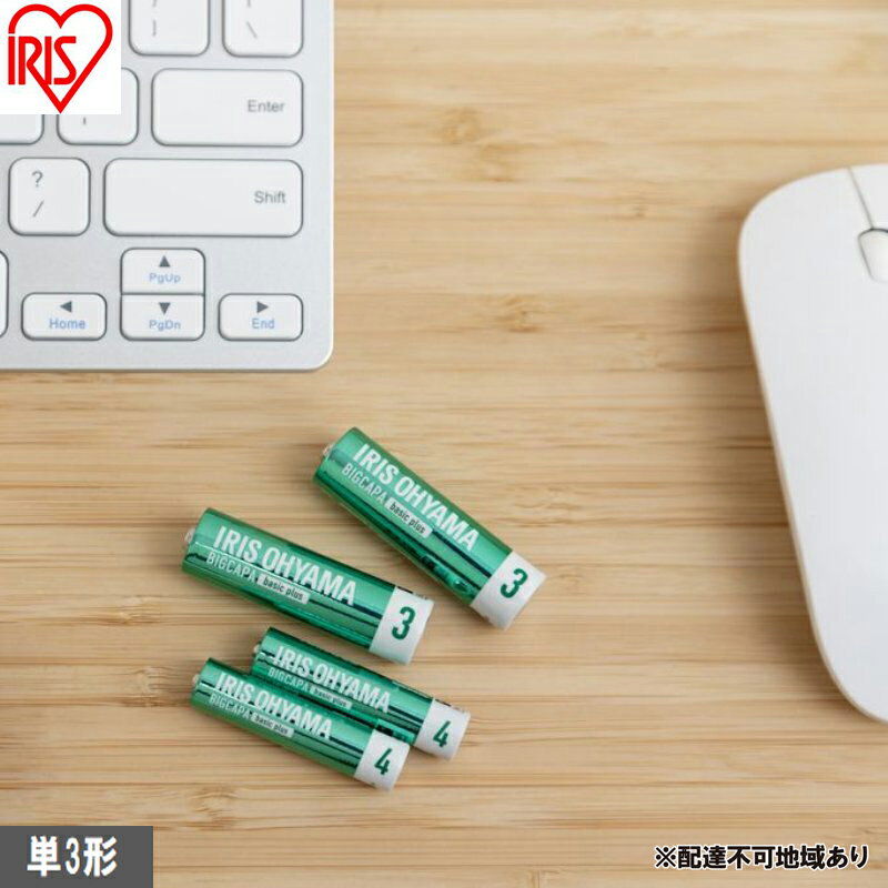 乾電池 BIGCAPA basic plus アルカリ乾電池 単3形4本パック LR6Bbp/4S 乾電池 単3 4本パック 10年 防災 非常用 防災用品