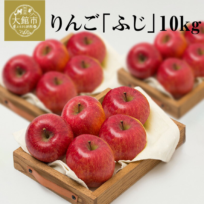 【数量限定・期間限定】陽気な母さんの【訳あり】りんご「ふじ」 10kg 【95P3403】 リンゴ 林檎 訳アリ 訳あり商品 詰合せ セット 季節 数量限定 大館市 秋田県 陽気な母さんの店 送料無料 ギフト フルーツ 果物 ふじ