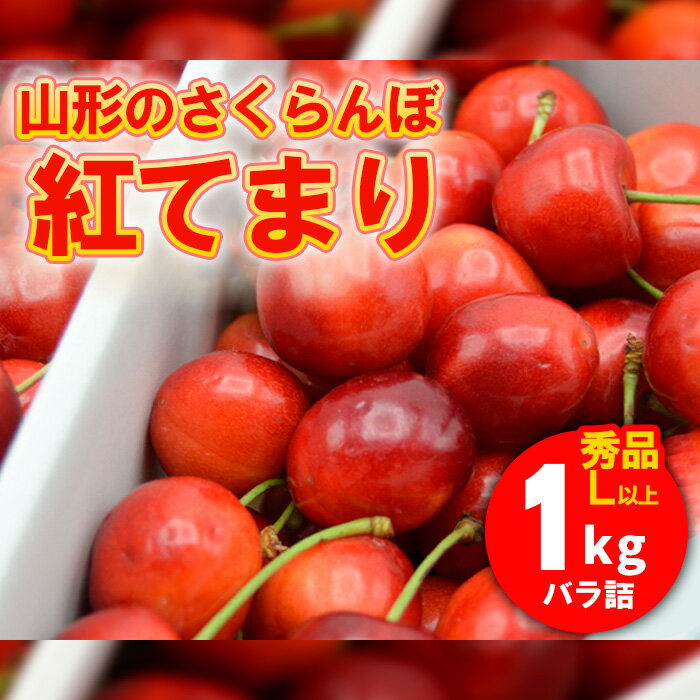山形のさくらんぼ 紅てまり 1kg Lサイズ以上 バラ詰 【令和8年産先行予約】FS25-526 くだもの 果物 フルーツ 山形 山形県 山形市 お取り寄せ 2026年産