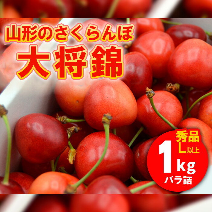 山形のさくらんぼ 大将錦 1kg Lサイズ以上 バラ詰 【令和8年産先行予約】FS25-527 くだもの 果物 フルーツ 山形 山形県 山形市 お取り寄せ 2026年産