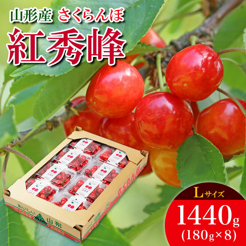 さくらんぼ 紅秀峰 L 1440g(180g×8) 【令和8年産先行予約】FS25-537 くだもの 果物 フルーツ 山形 山形県 山形市 お取り寄せ 2026年産