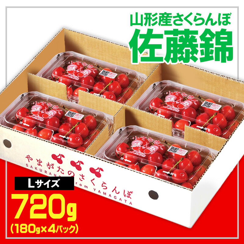 ★山形産 さくらんぼ 佐藤錦★L 720g (180g×4P)【令和8年産先行予約】 FS25-554 くだもの 果物 フルーツ 山形 山形県 山形市 お取り寄せ 2026年産
